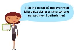 MicroBizz